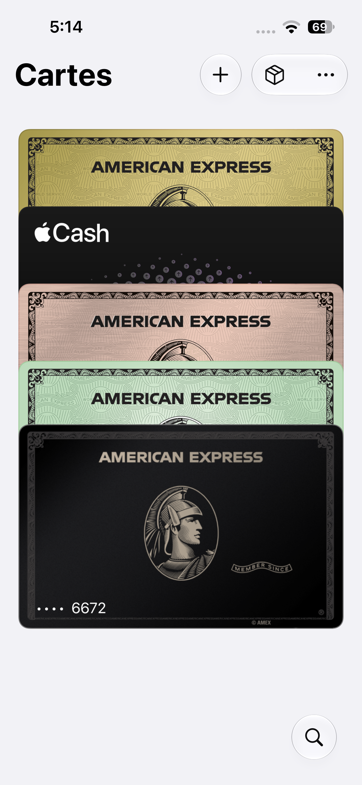 Wallet, capture 3